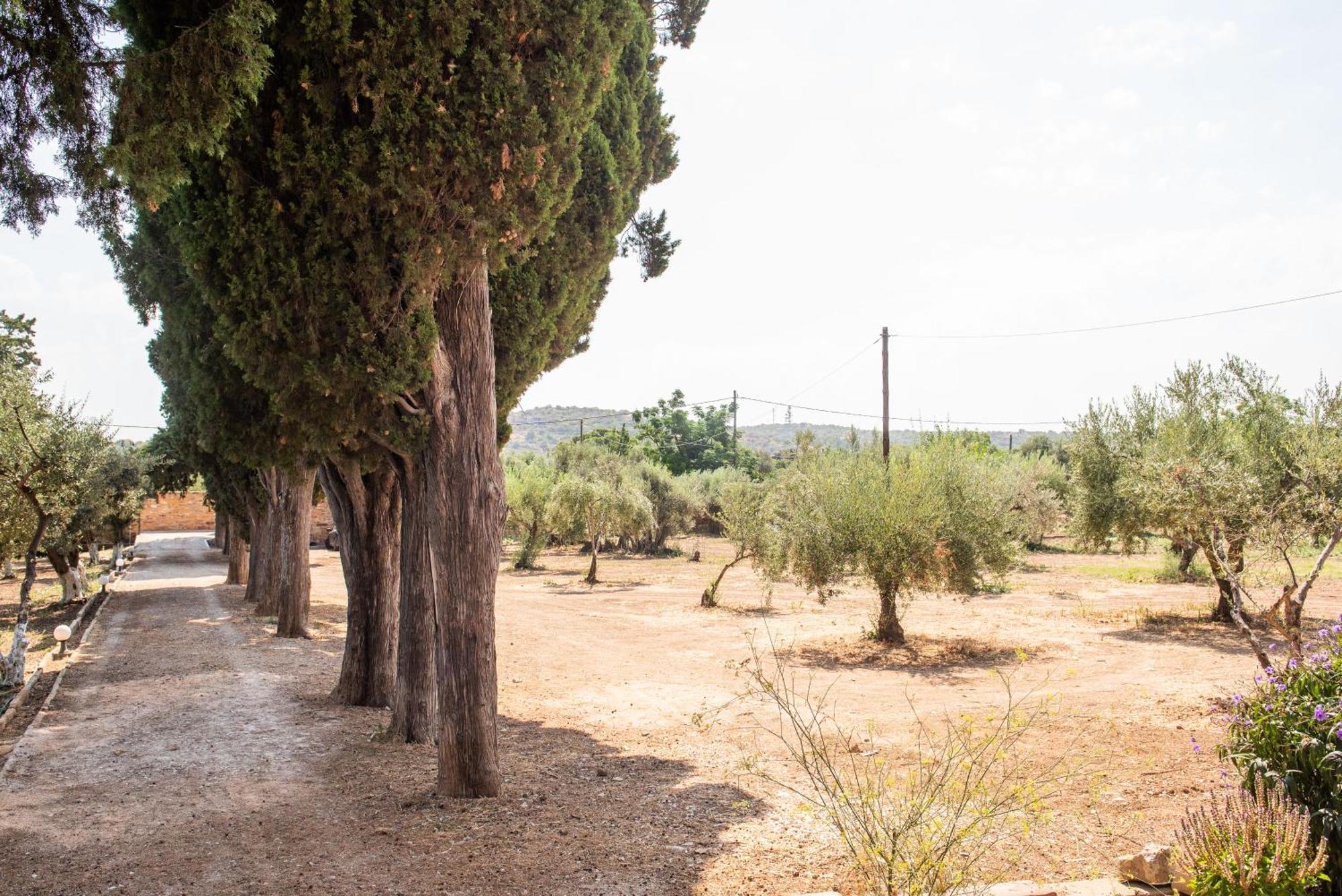 Calvocoressi Estate Chios Town Buitenkant foto
