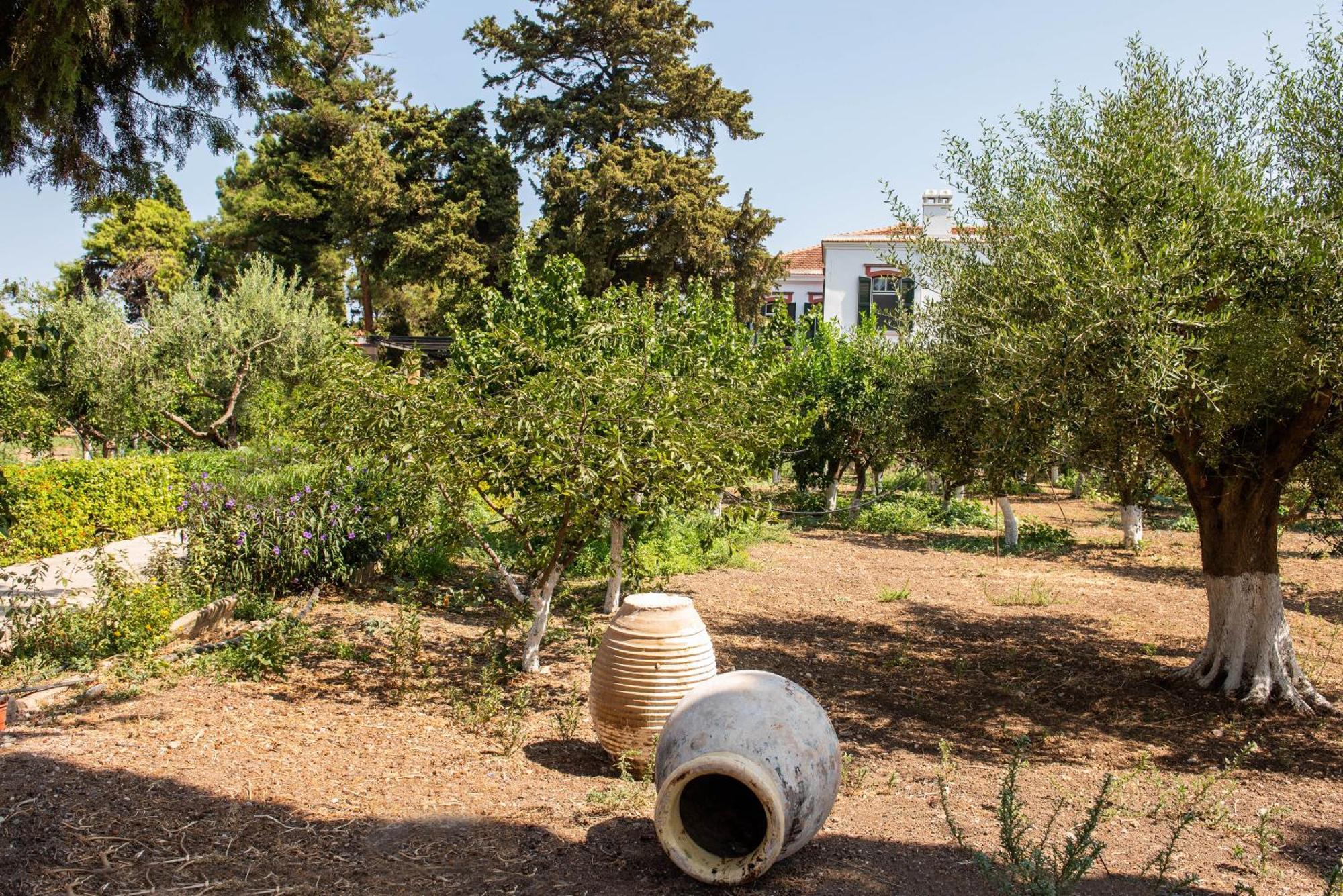 Calvocoressi Estate Chios Town Buitenkant foto