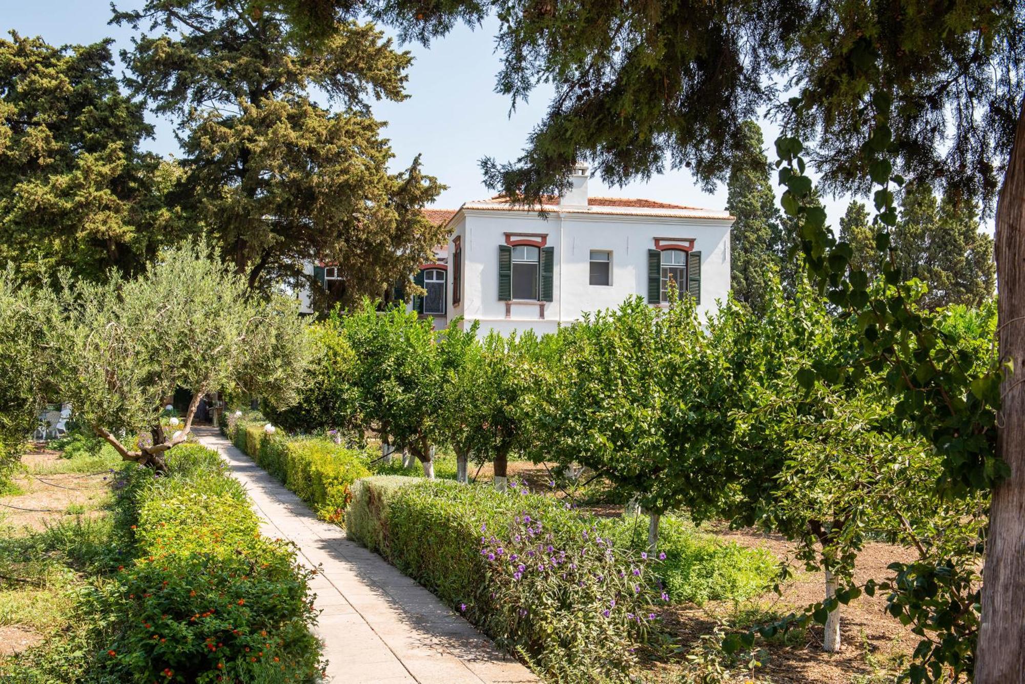 Calvocoressi Estate Chios Town Buitenkant foto
