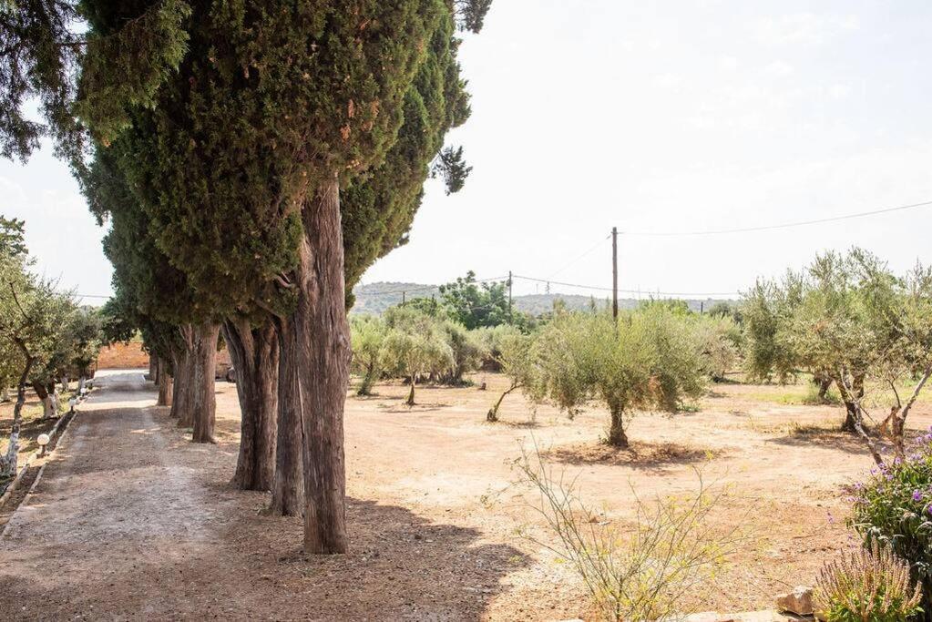 Calvocoressi Estate Chios Town Buitenkant foto