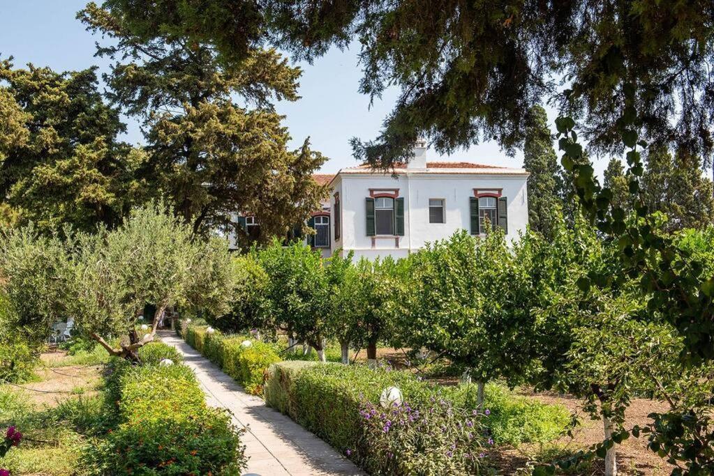 Calvocoressi Estate Chios Town Buitenkant foto